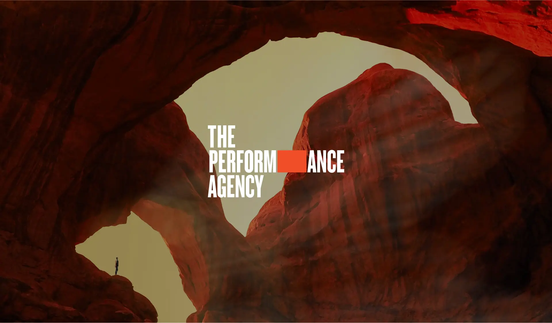 The Performance Agency Project Work