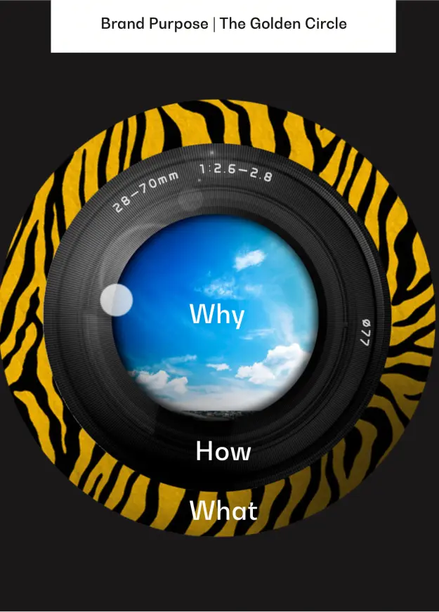Camera lens with a blue sky and clouds, surrounded by a tiger-striped border, labeled "Why," "How," and "What.