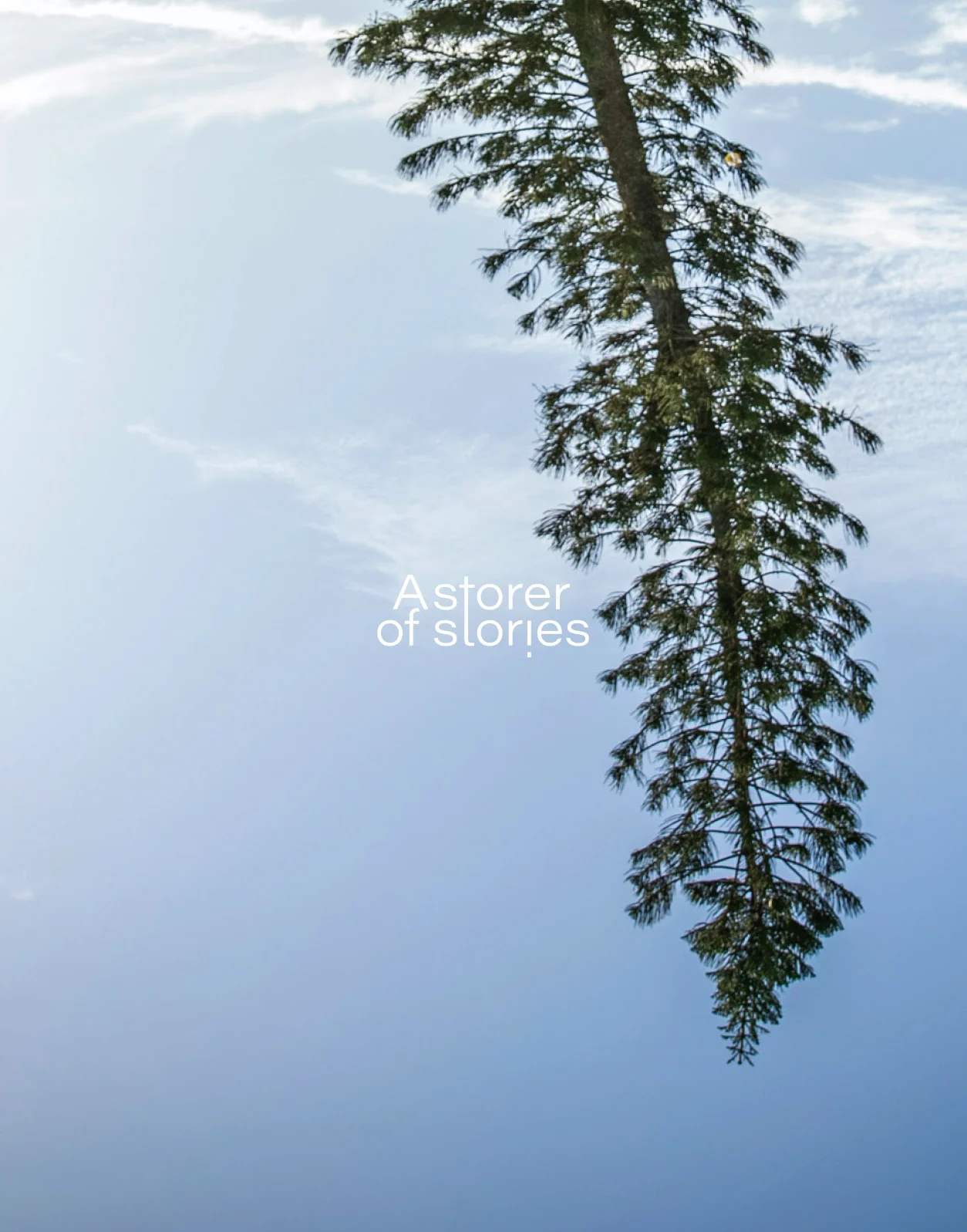 Reflection of a tall tree against a blue sky, with the text "A storer of stories" centered in the image.